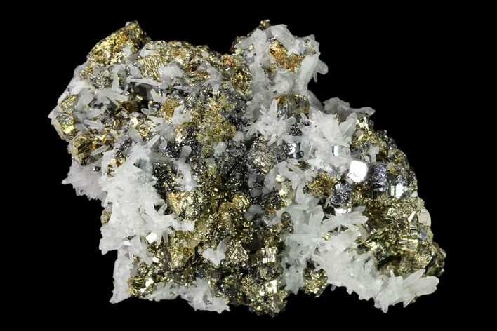 Pyrite, Galena, Fluorite and Quartz Association - Peru #149593